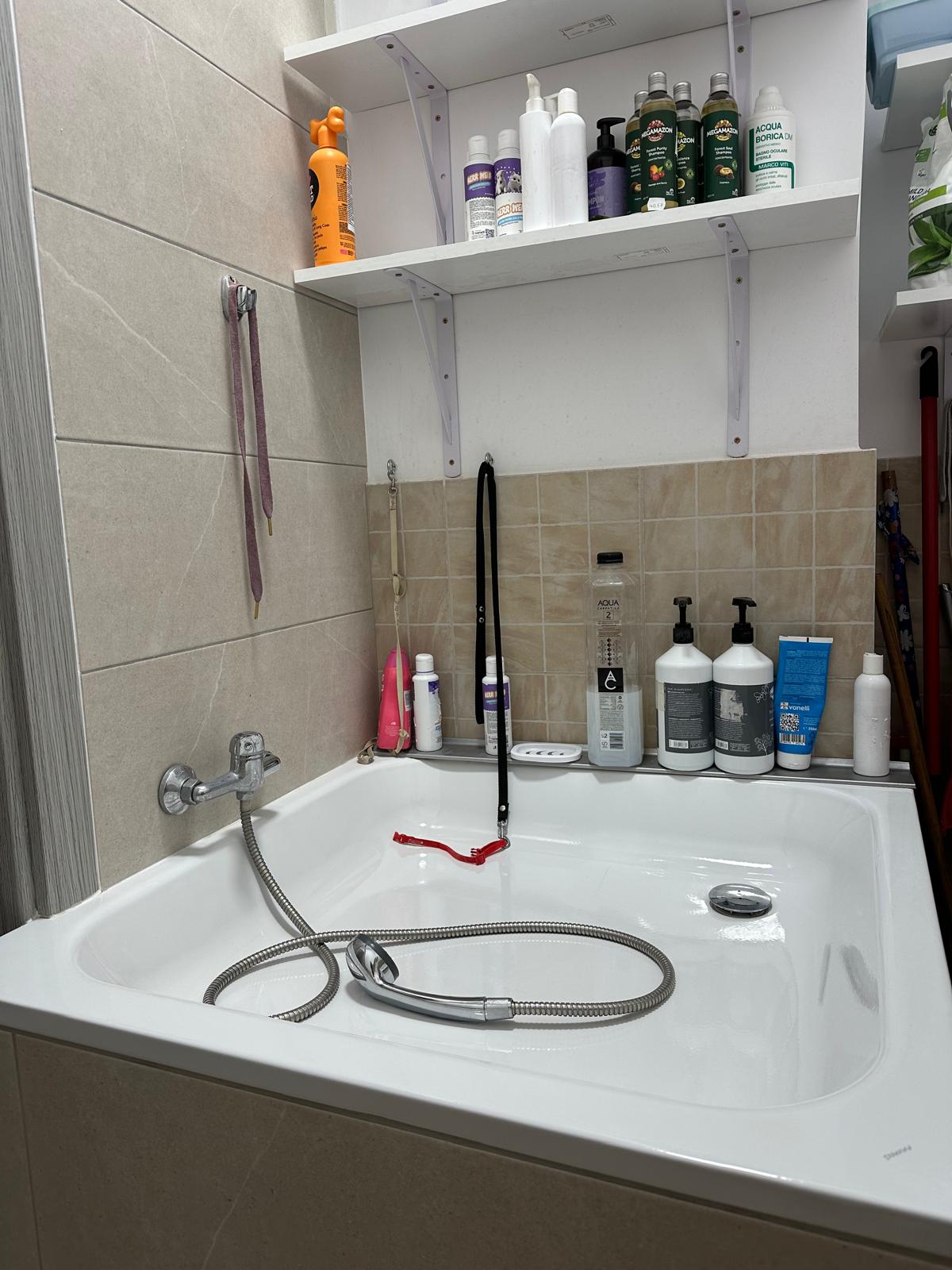 Grooming salon (câini și pisici) la Năsucul Vesel