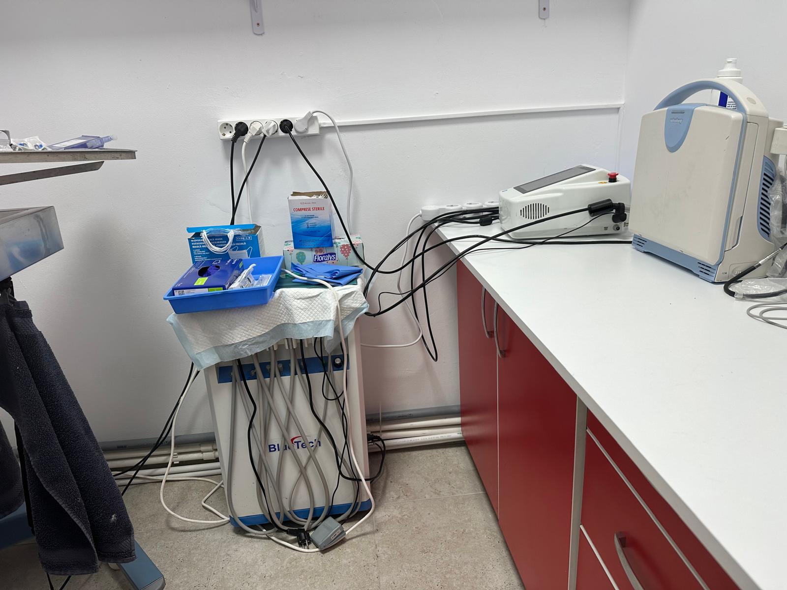 Stomatologie veterinară la Năsucul Vesel