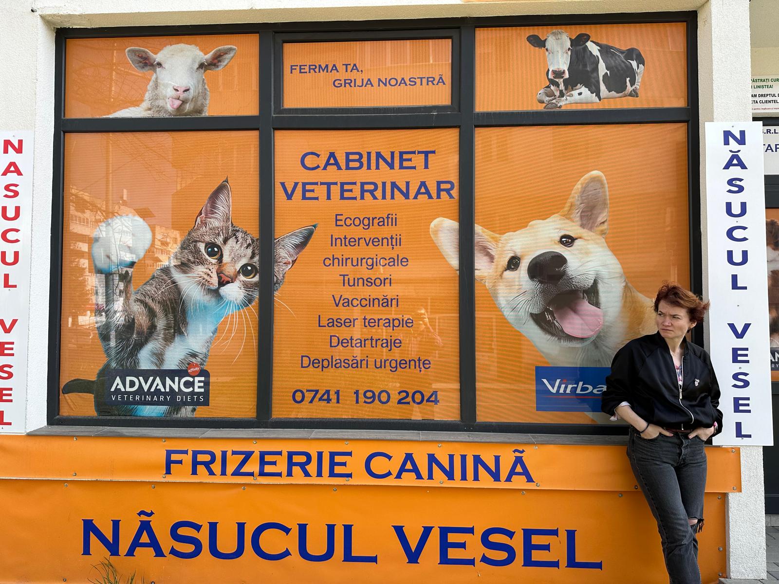 Consultații la domiciliu