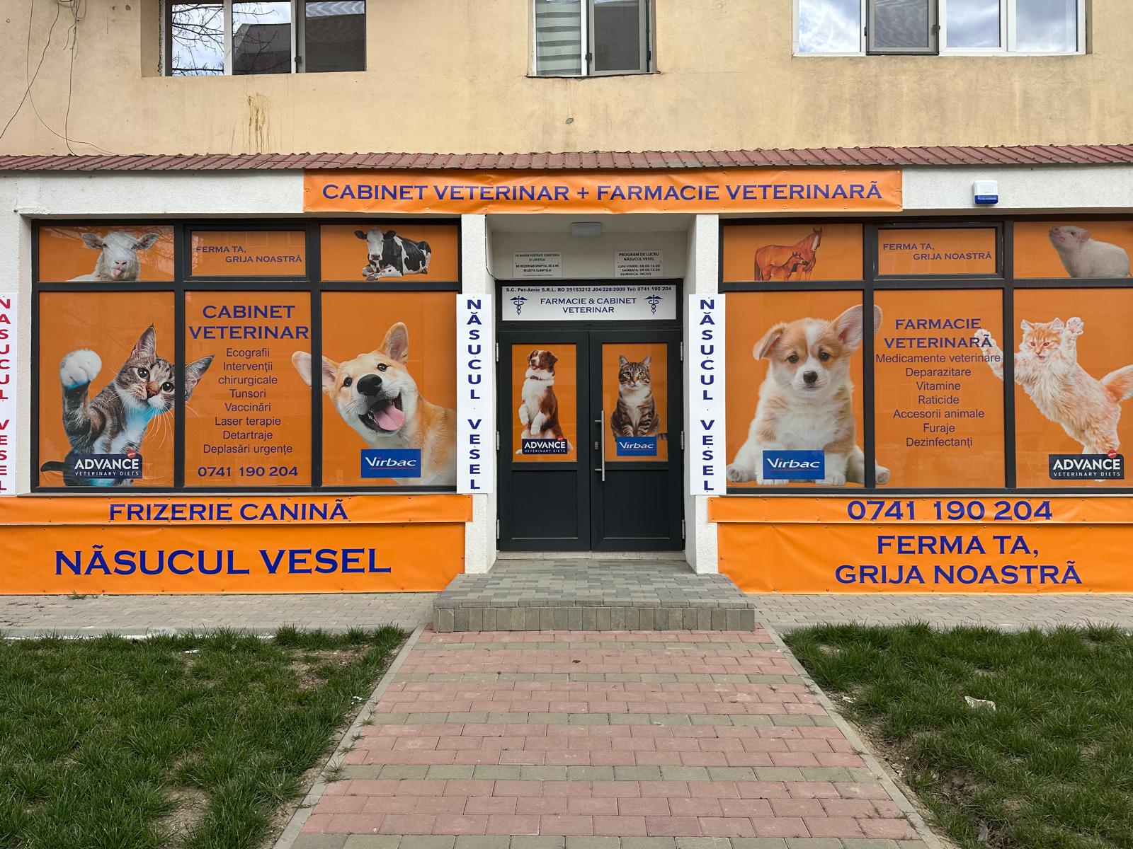 Consultații la domiciliu la Năsucul Vesel