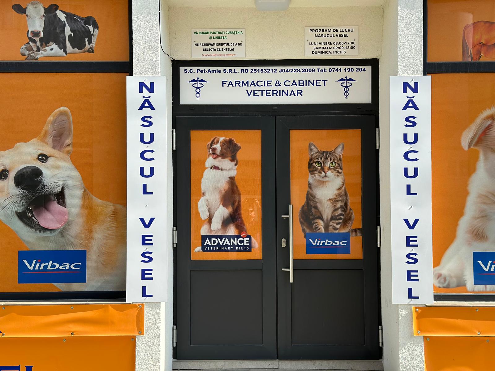 Consultații la domiciliu la Năsucul Vesel