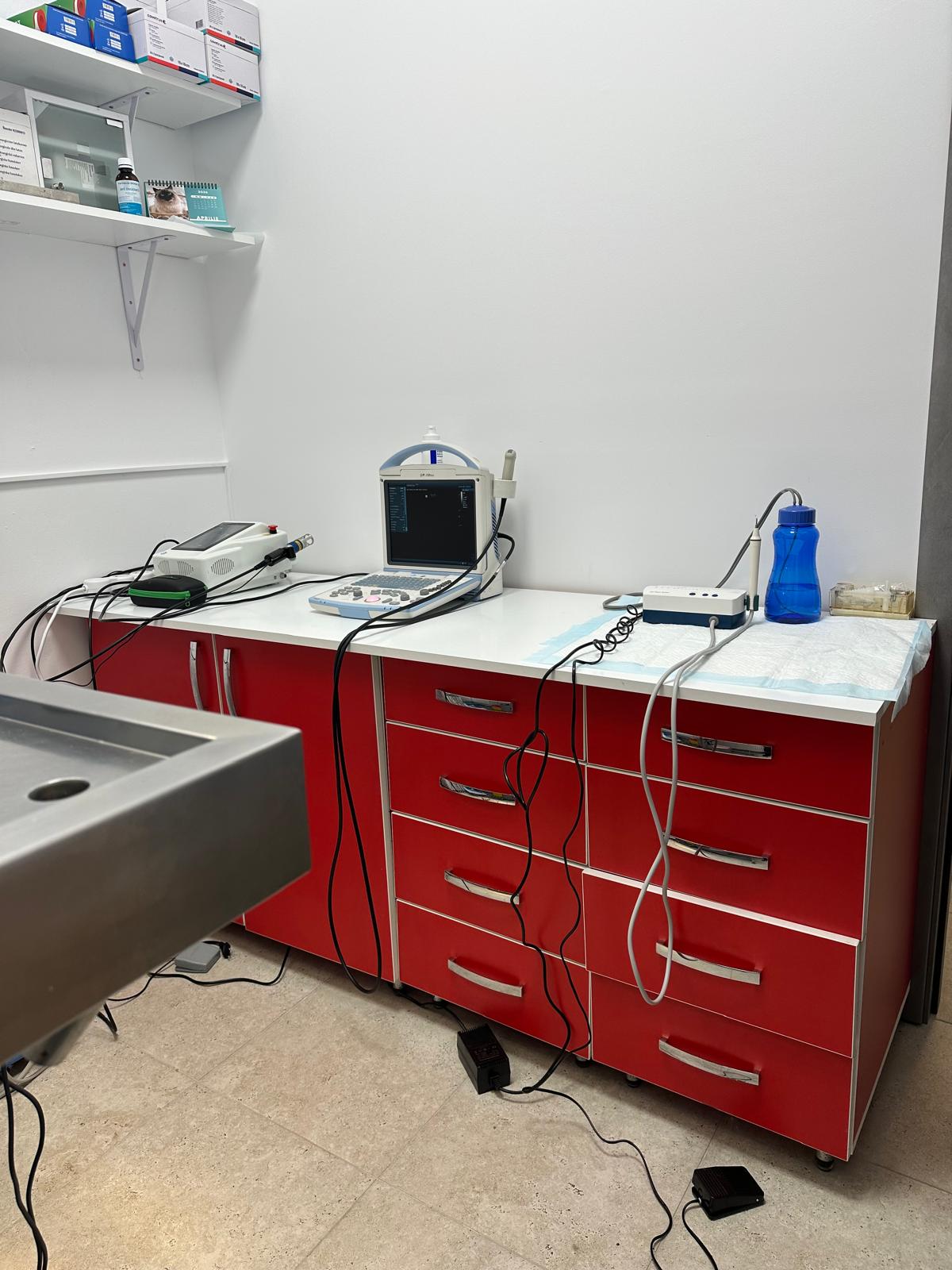 Laborator la Năsucul Vesel