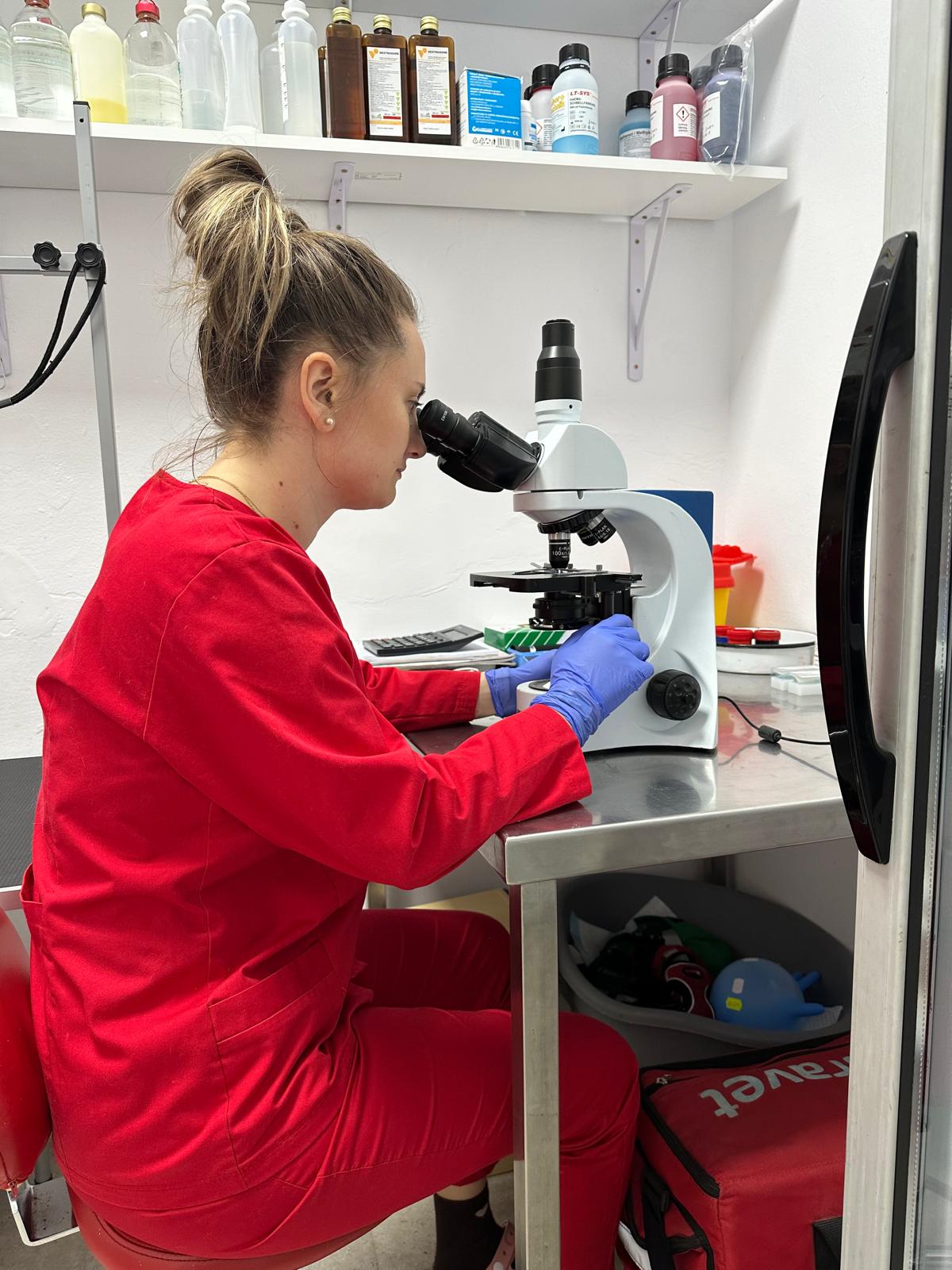 Dr. Moisa Ioana Mădălina