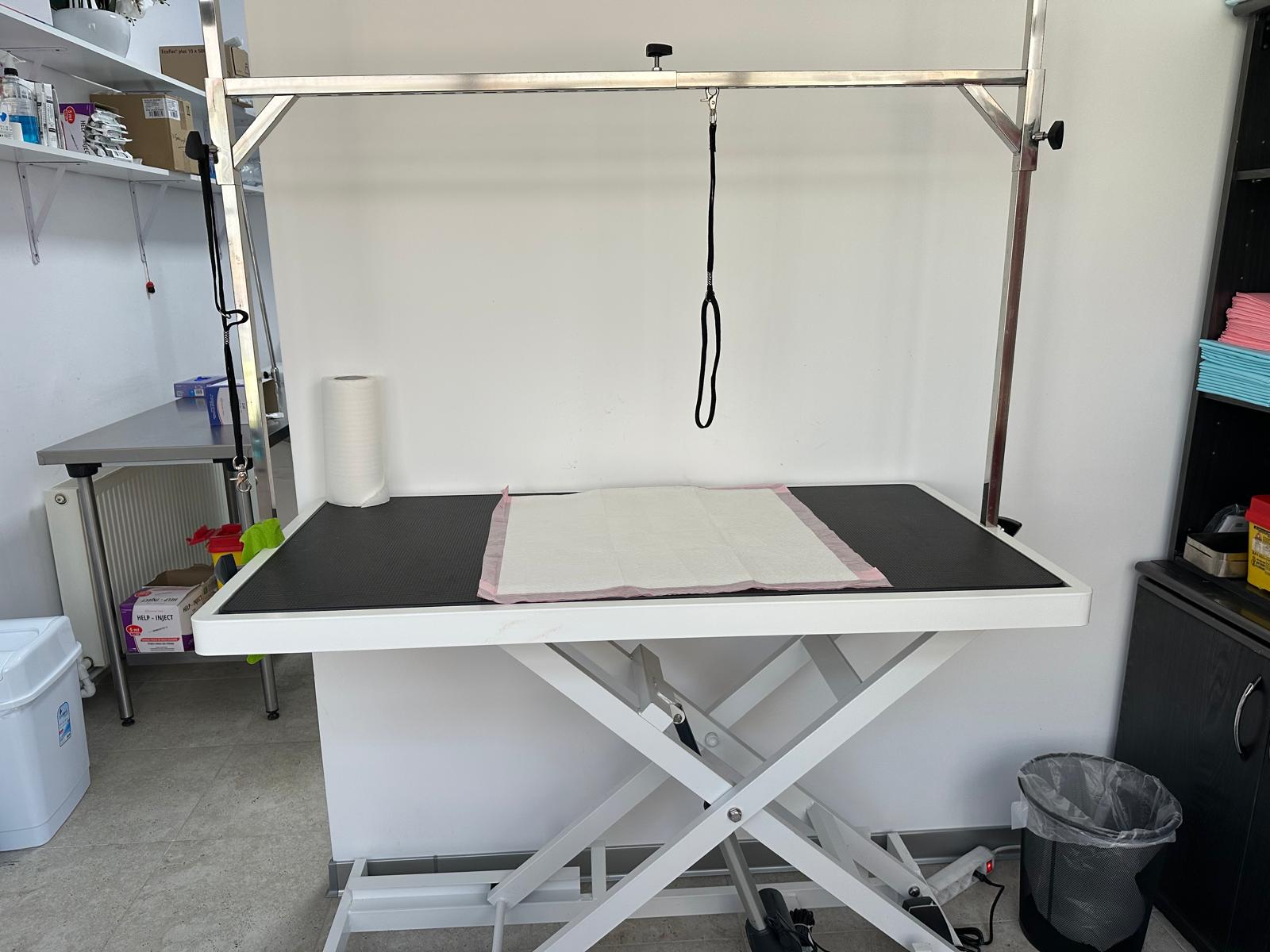 Grooming la Năsucul Vesel