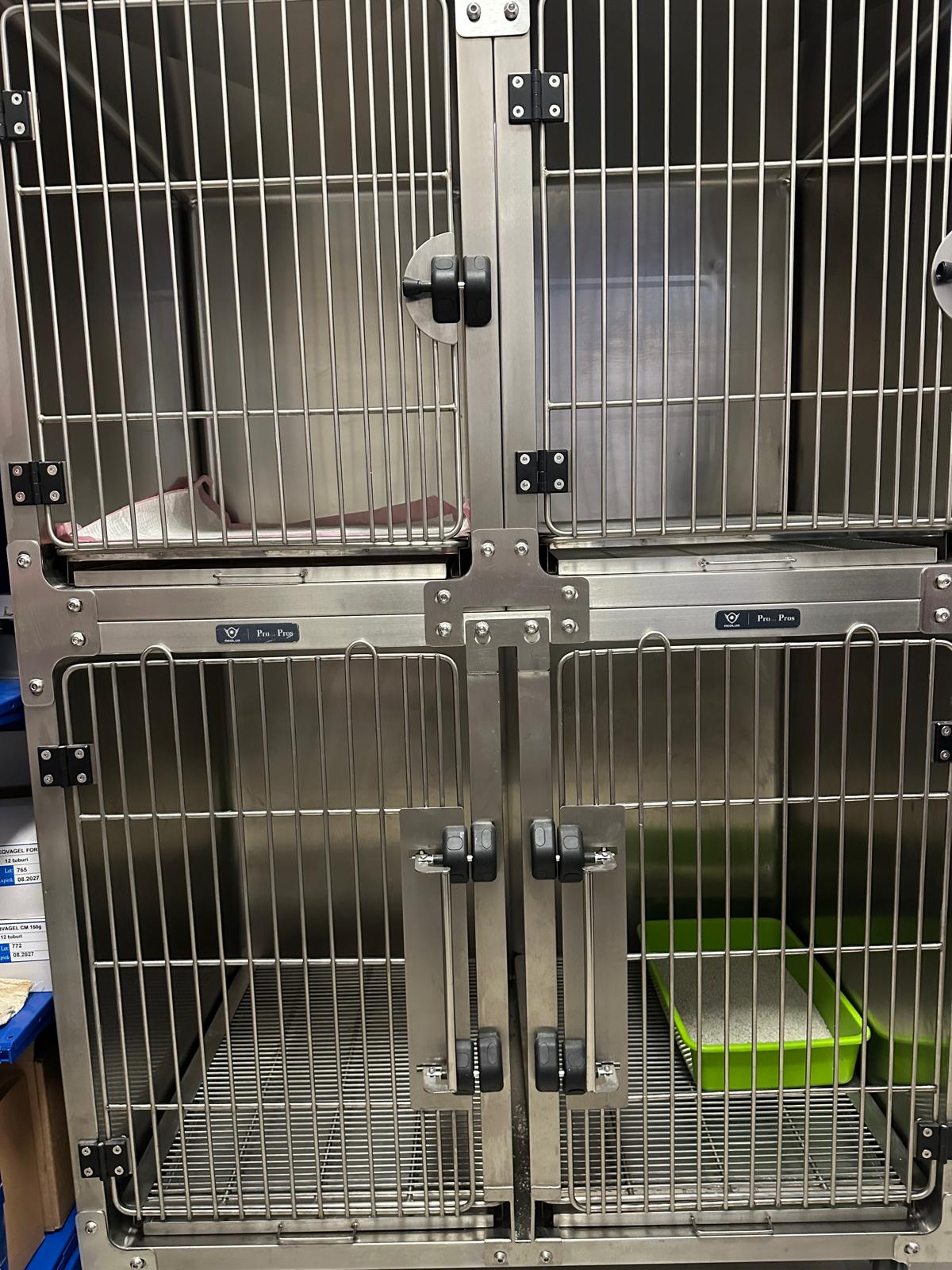 Cuști de spitalizare pentru pacienții care necesită perfuzii zilnice