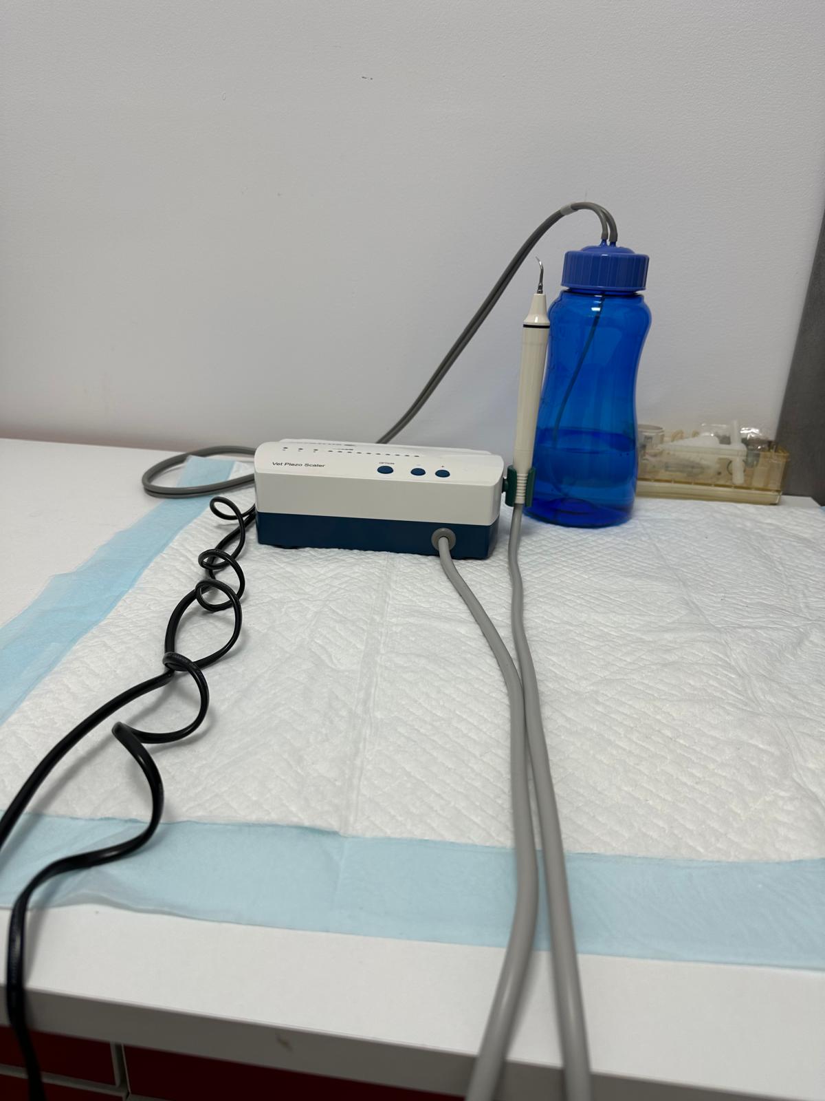 Stomatologie veterinară la Năsucul Vesel